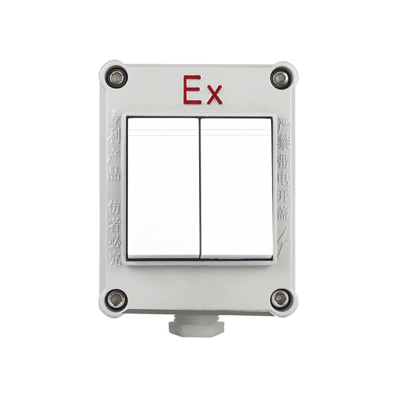 專業解析 工業級防爆照明開關——安全、可靠、多功能的電氣控制核心